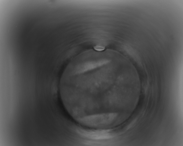 X0000089690032200706281423