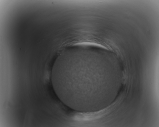 X0000089690033200706281423