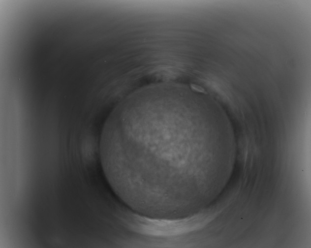 X0000089690034200706281423