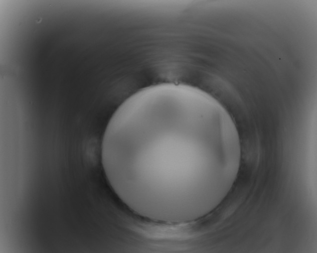 X0000089690036200706281423