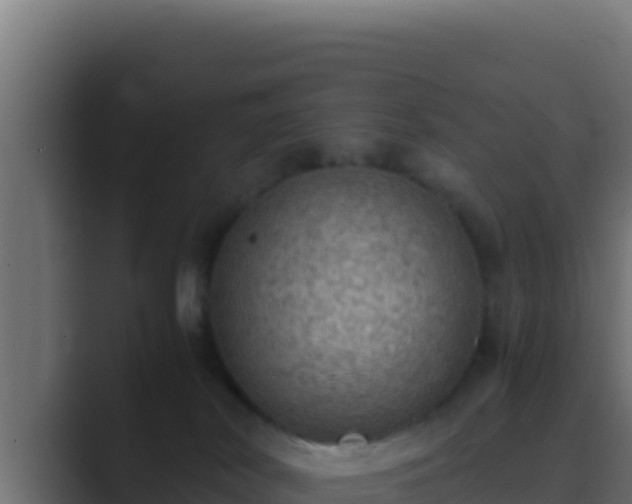 X0000089690038200706281423