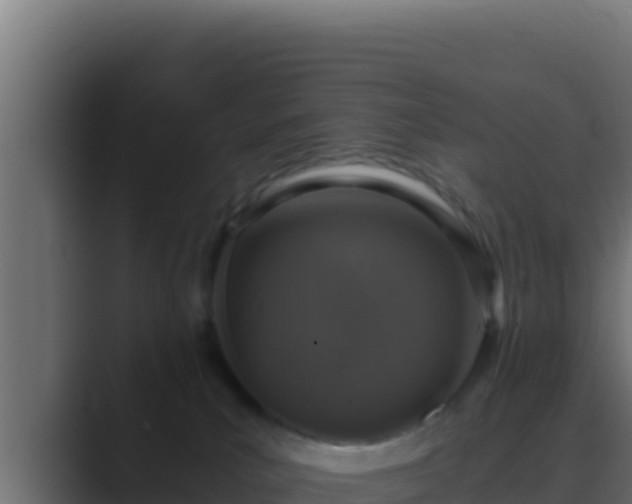 X0000089690039200706281423