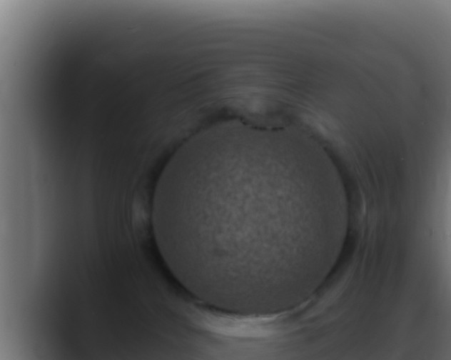 X0000089690040200706281423