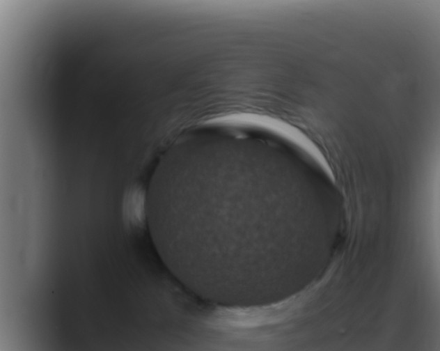 X0000089690041200706281423