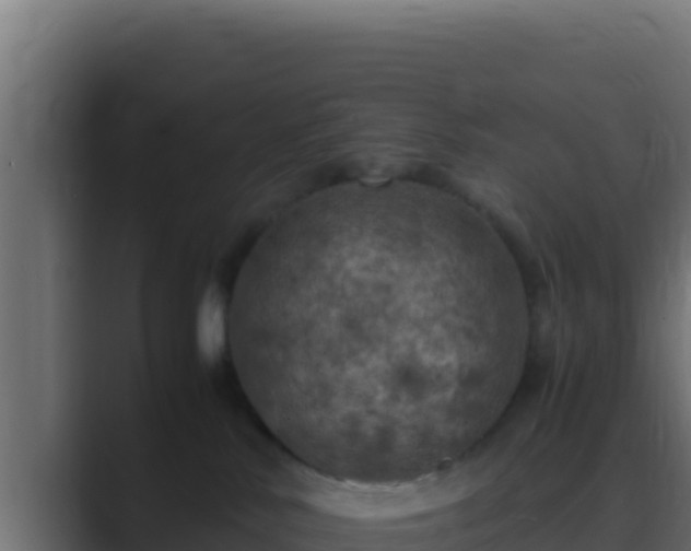 X0000089690042200706281423