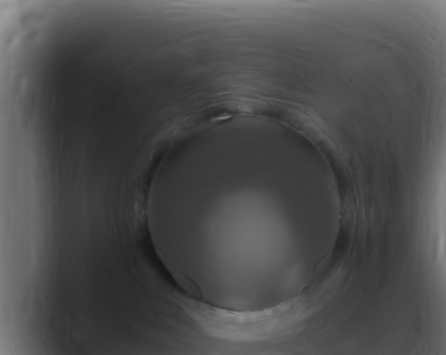 X0000089690043200706281423