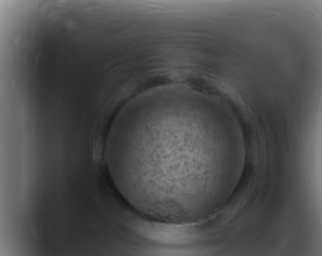 X0000089690044200706281423