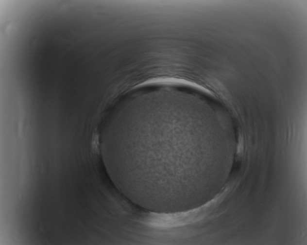 X0000089690045200706281423