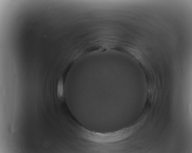 X0000089690046200706281423