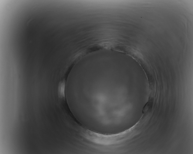 X0000089690047200706281423