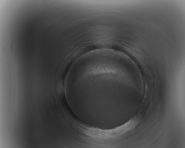 X0000089690048200706281423