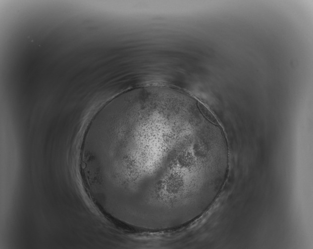 X0000089690049200706281423