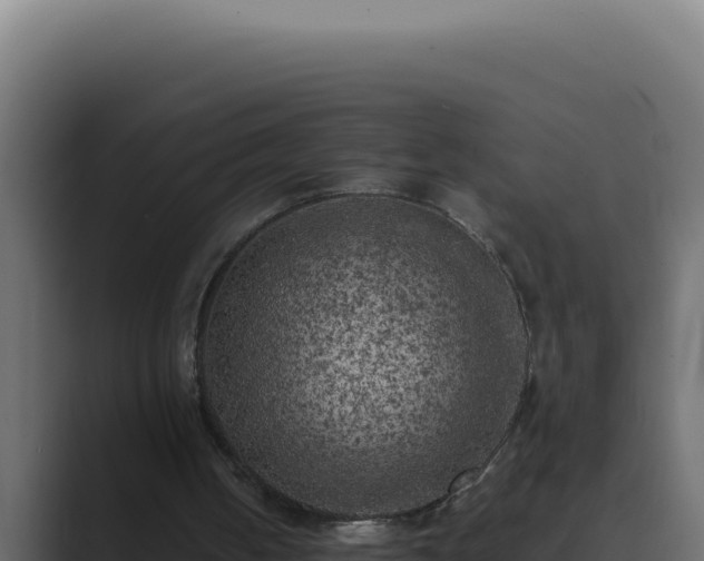 X0000089690050200706281423