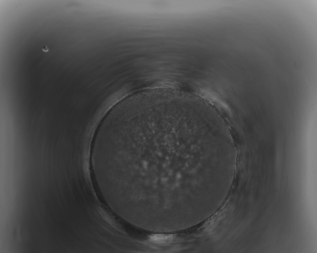 X0000089690051200706281423