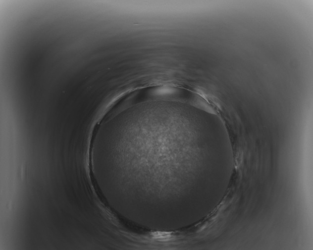 X0000089690052200706281423