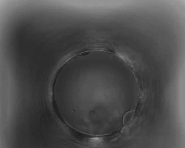 X0000089690053200706281423