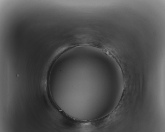 X0000089690054200706281423