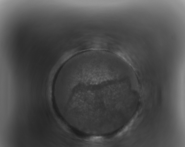 X0000089690055200706281423