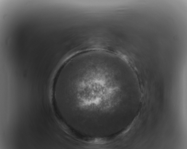 X0000089690056200706281423