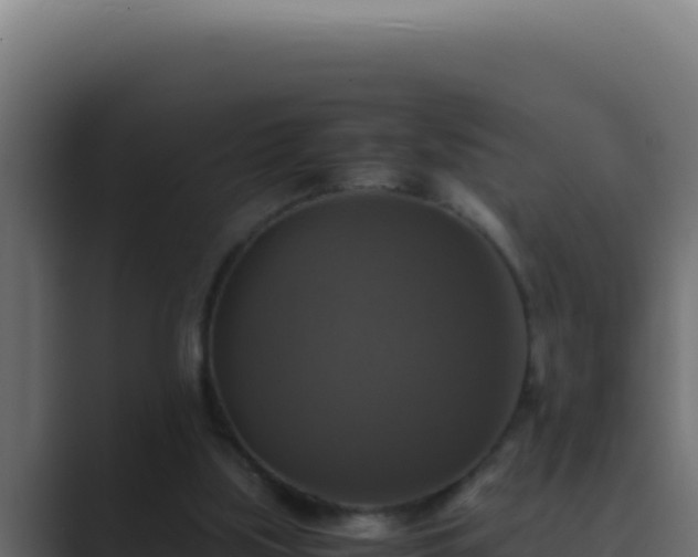 X0000089690059200706281423