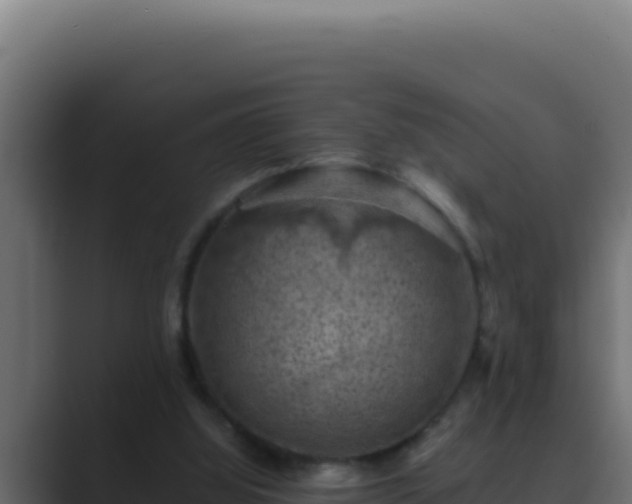 X0000089690060200706281423