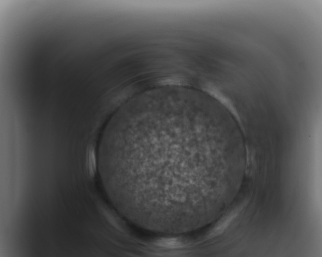 X0000089690061200706281423