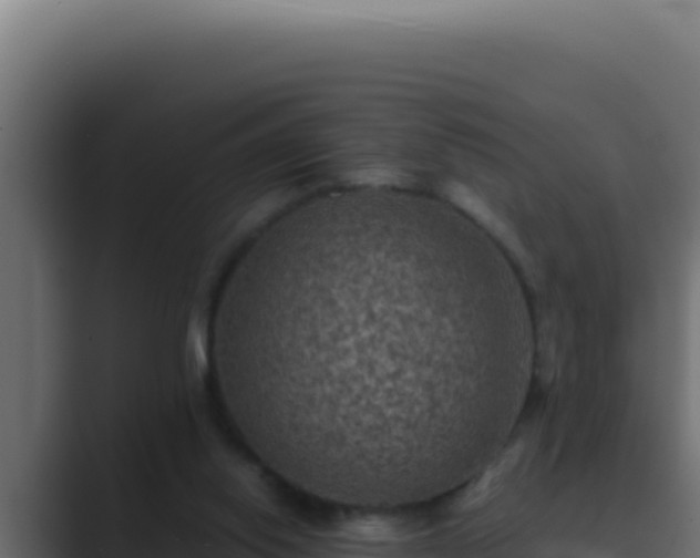 X0000089690062200706281423