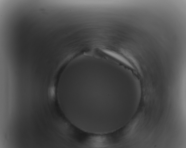 X0000089690067200706281423