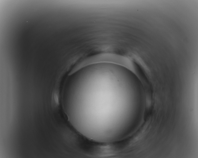 X0000089690068200706281423