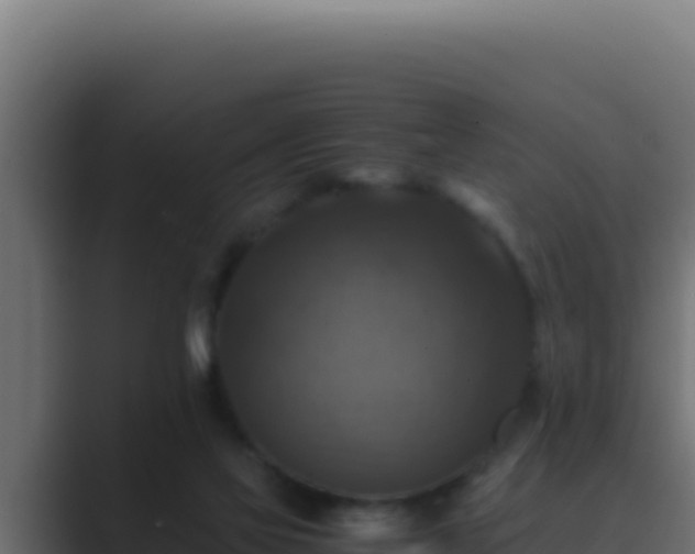 X0000089690069200706281423