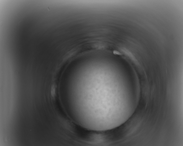 X0000089690071200706281423