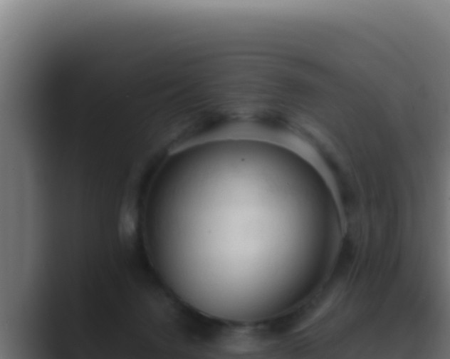 X0000089690072200706281423