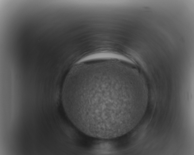 X0000089690073200706281423