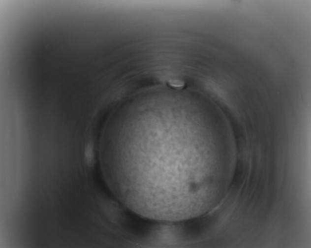 X0000089690074200706281423