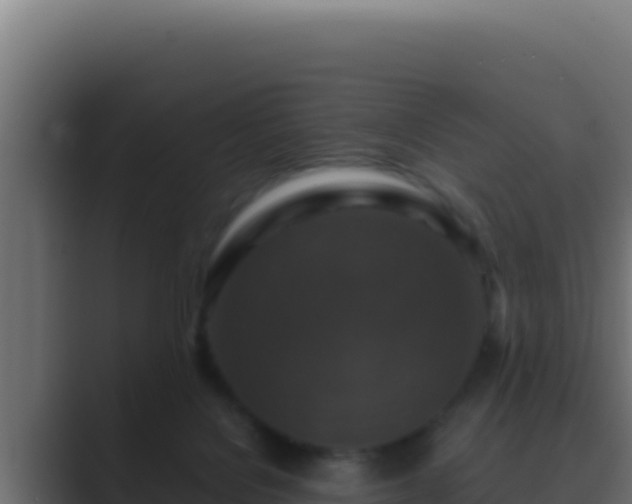 X0000089690076200706281423