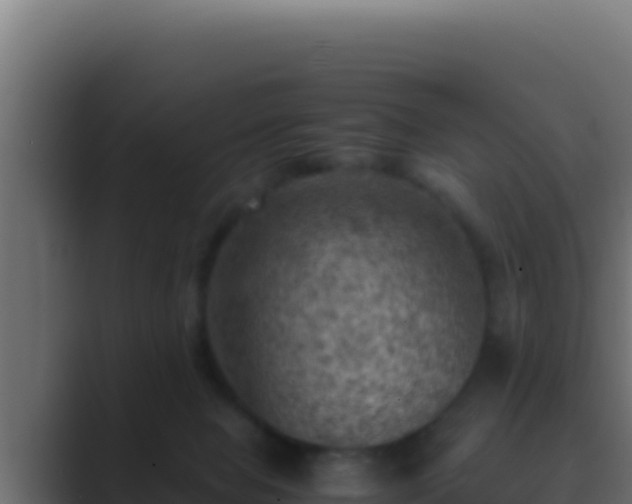 X0000089690077200706281423