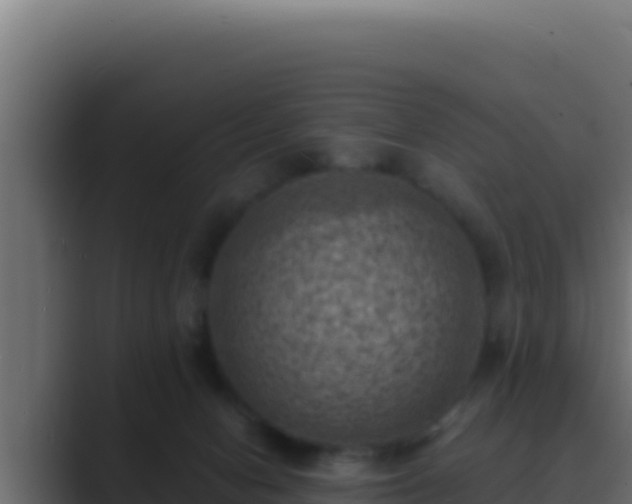 X0000089690078200706281423