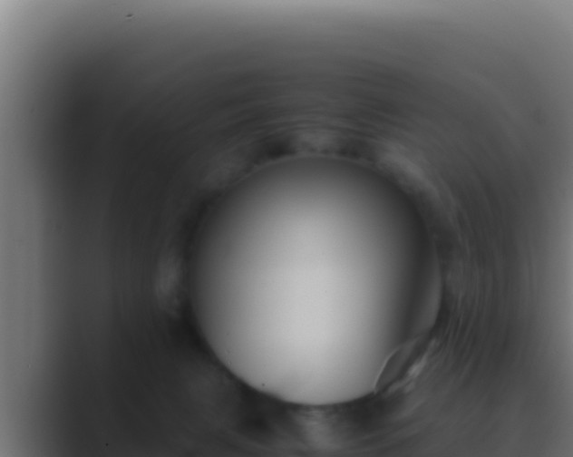 X0000089690079200706281423