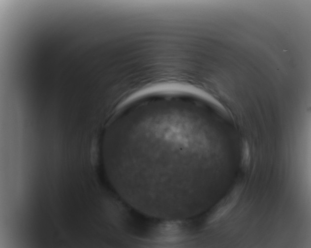 X0000089690080200706281423