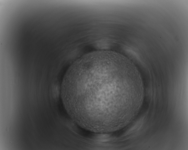 X0000089690081200706281423