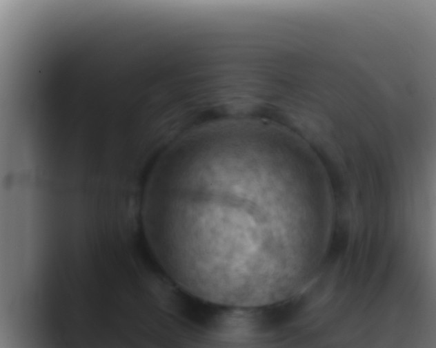 X0000089690082200706281423