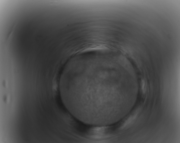 X0000089690084200706281423