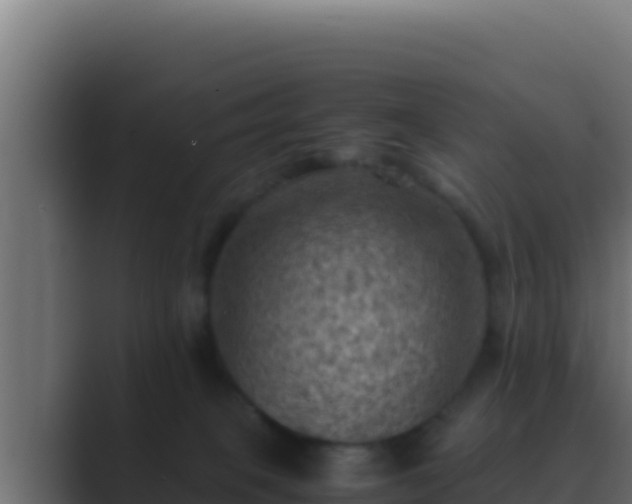 X0000089690085200706281423