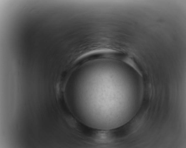 X0000089690088200706281423