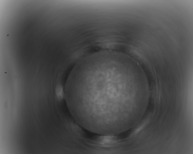 X0000089690089200706281423