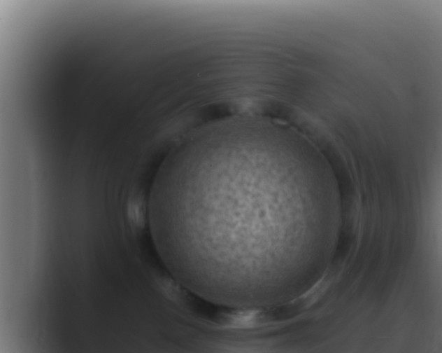 X0000089690090200706281423