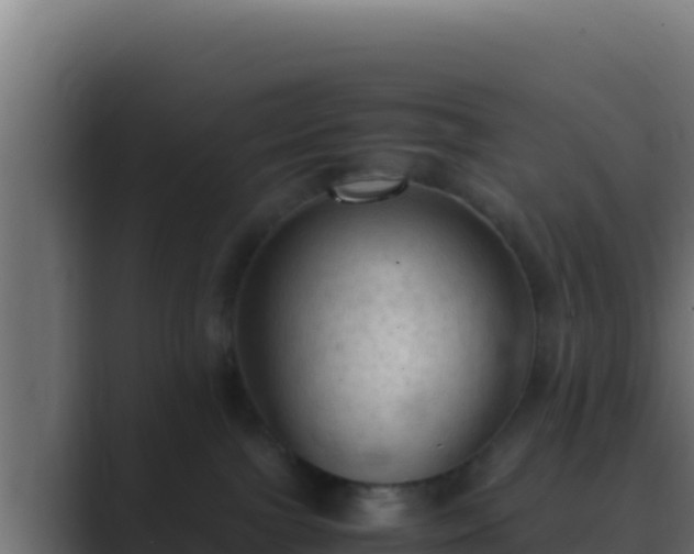 X0000089690091200706281423