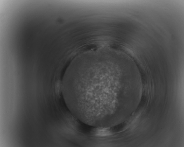 X0000089690093200706281423