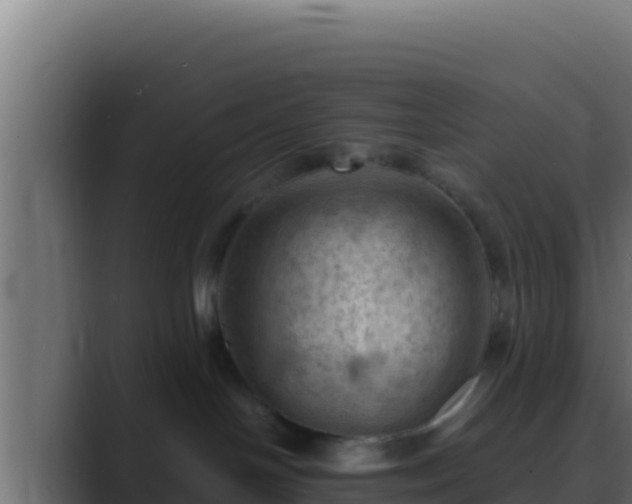 X0000089690094200706281423