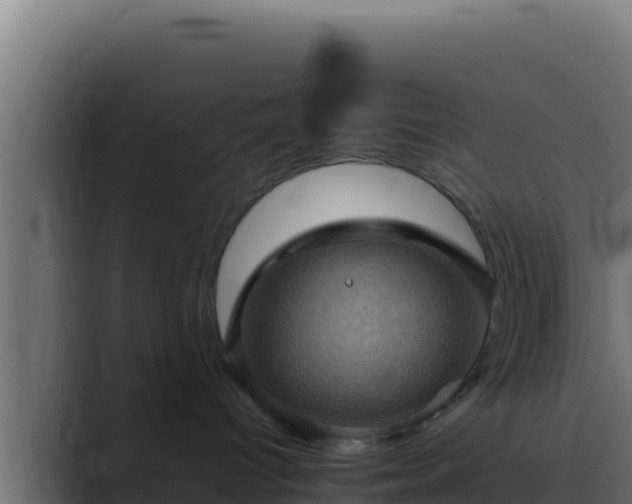 X0000089690096200706281423